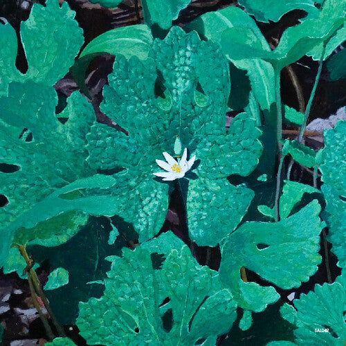 Early Fern- Wetland Interiors ( LP )