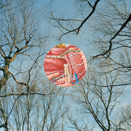 They Might Be Giants- Glean ( LP )