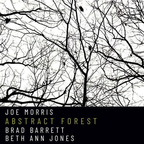 Joe Morris: Abstract Forest - CD