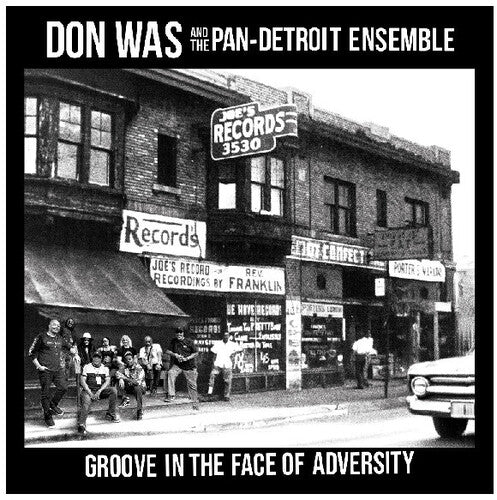Don Was- Groove In The Face Of Adversity ( LP )