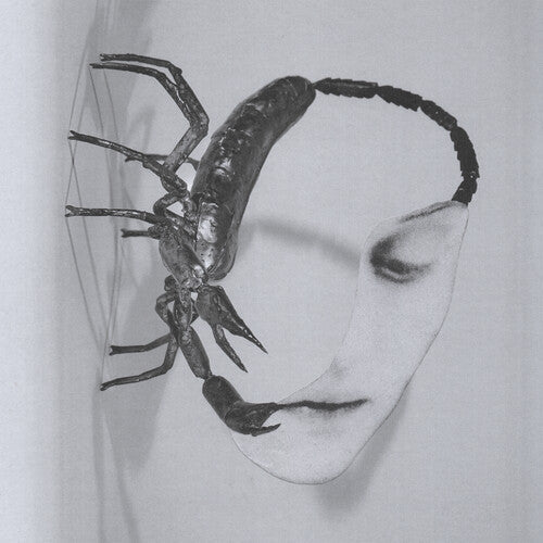 Tortoise- Touch ( LP )