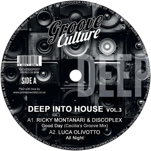 Various Artists: Deep Into House Vol. 3 / Various - 12-INCH SINGLE