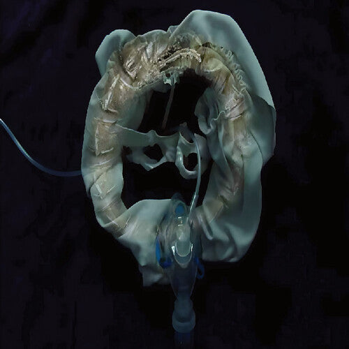 Initiatrix ( LP )