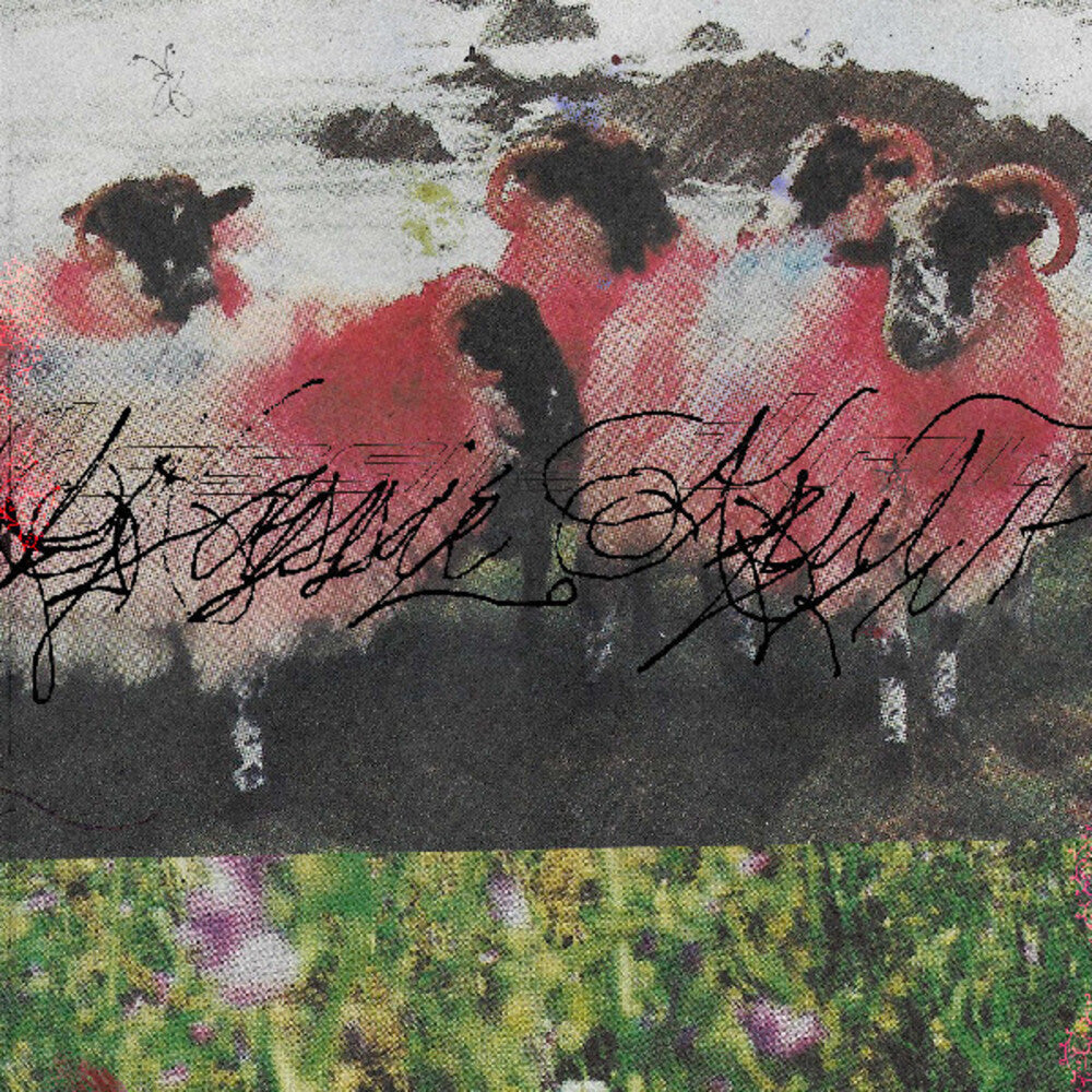 Kassie Krut- Kassie Krut ( LP )