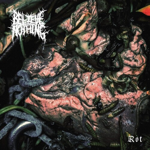 Believe in Nothing: Rot - VINYL