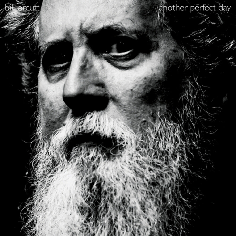 Bill Orcutt- Another Perfect Day ( LP )
