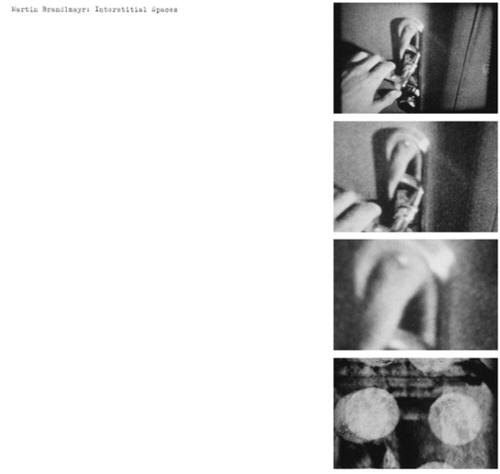 Martin Brandlmayr- Interstitial Spaces ( LP )