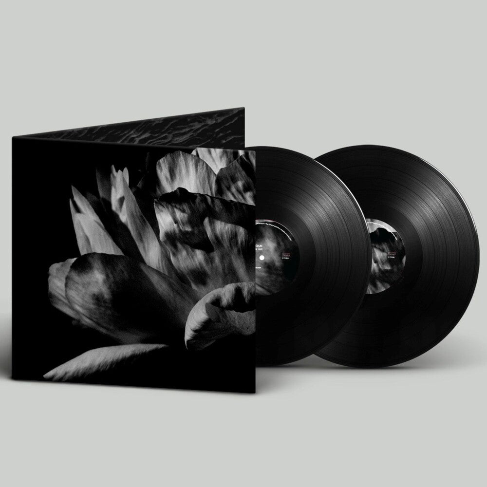 Louise Roam- La Ou Passe La Nuit (Gate) ( LP )