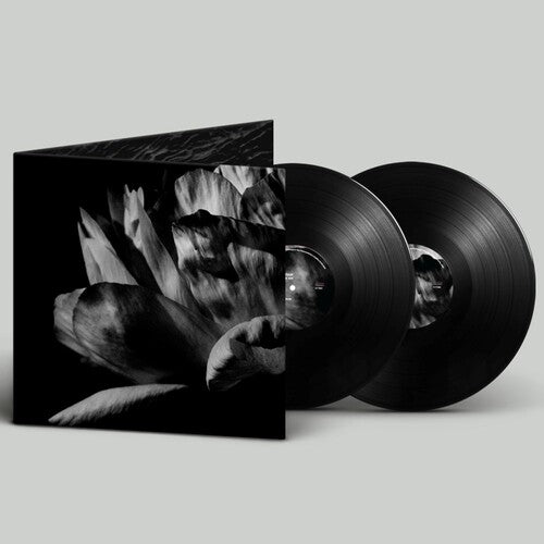 Louise Roam: La Ou Passe La Nuit { Record }