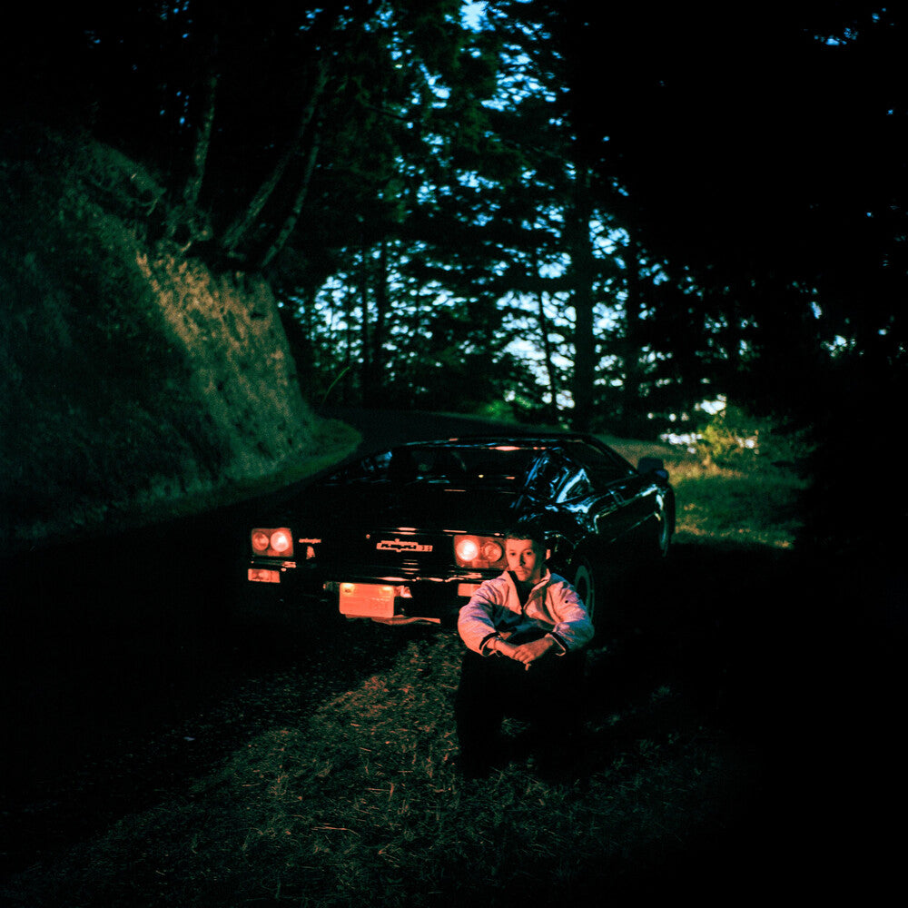 Sam Gellaitry- Anywhere Here Is Perfect ( LP )