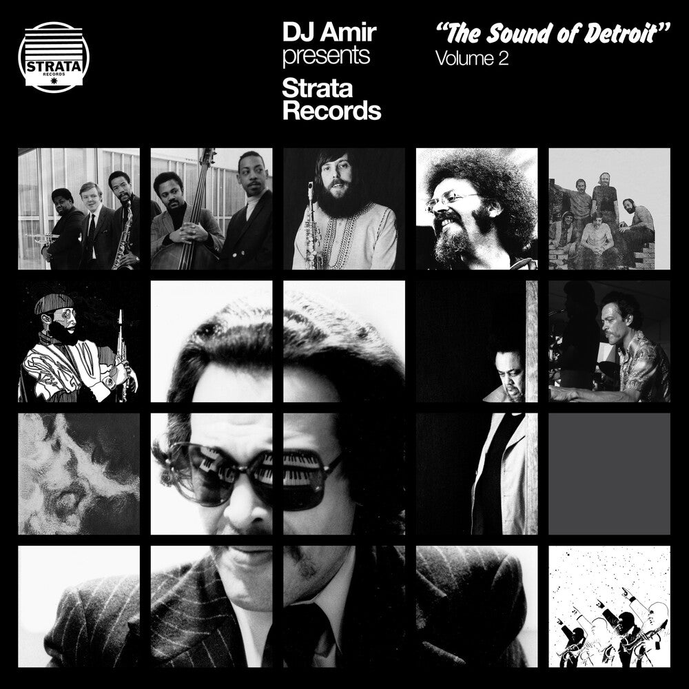 Dj Amir- Dj Amir Presents Strata Records: Sound Of Detroit ( LP )