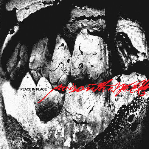 Poison the Well: Peace In Place - VINYL