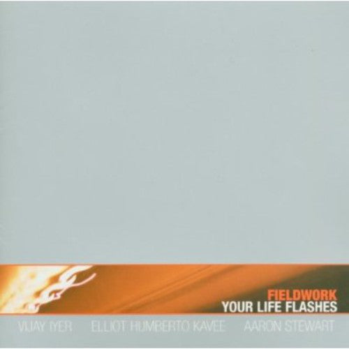 Fieldwork: Your Life Flashes - CD