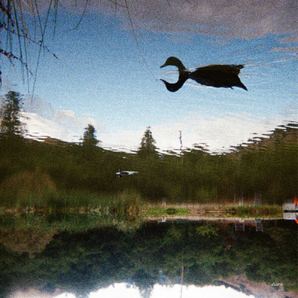 Tomu Dj- Antagonist ( LP )