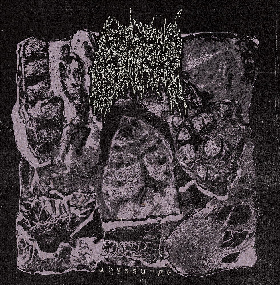 Strup- Abyssurge ( LP )