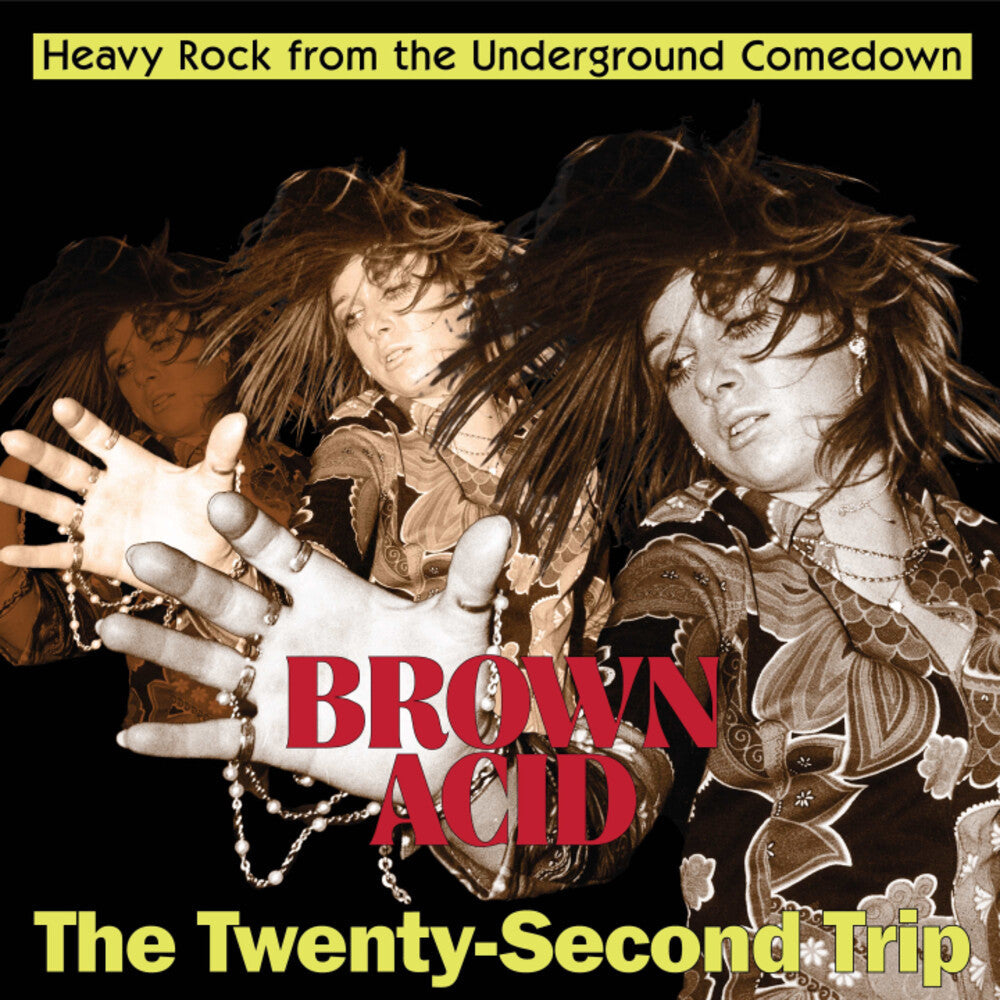 Brown Acid - Twenty-Second Trip / Various- Brown Acid - The Twenty-Second Trip (Various Artists) ( LP )