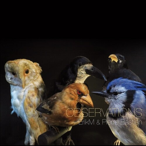 Erikm / Pierre Bastien: Observations { Record }