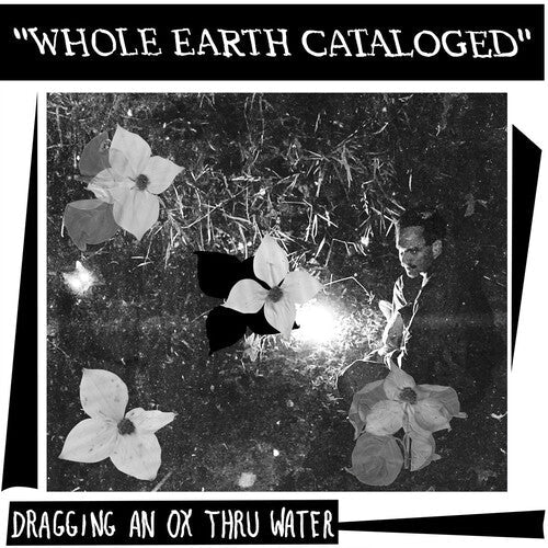 Dragging An Ox Through Water: Whole Earth Catalogued { Record }