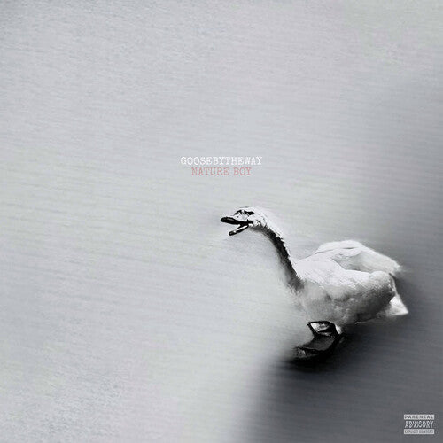 Goosebytheway: Nature Boy - White { Record }