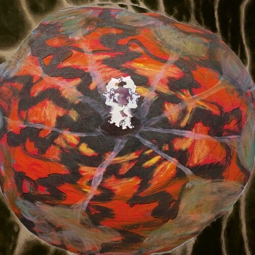 Spectacle of Light Abductions 2: Music For The Paintings Of Vedran Kopljar { Record }