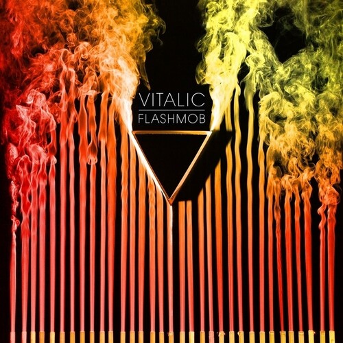Vitalic: Flashmob { Record }
