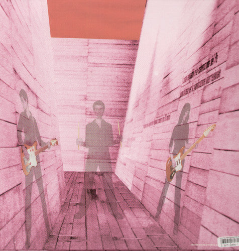 Blonde Redhead: In An Expression of the Inexpressible { Record }