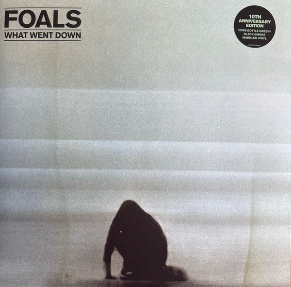 Foals- What Went Down ( LP )