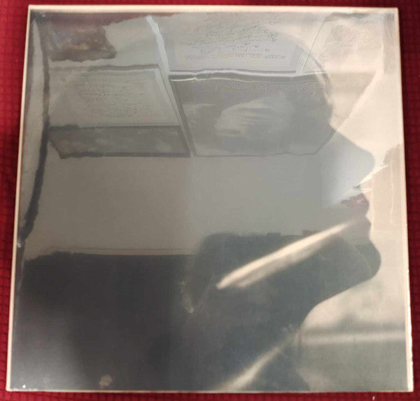 Sarah Blasko- I Just Need To Conquer This Mountain ( LP )