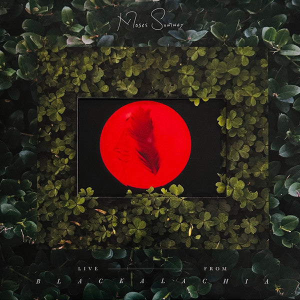 Moses Sumney- Live From Blackalachia - Opaque Red Colored Vinyl ( LP )