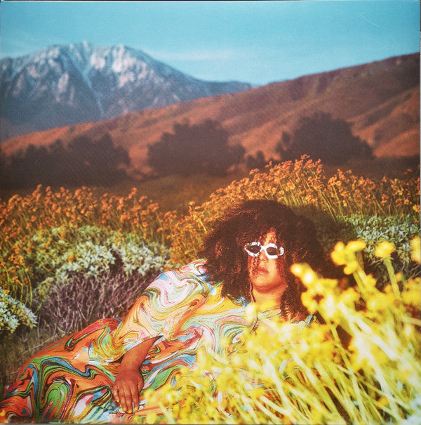 Brittany Howard- What Now ( LP )