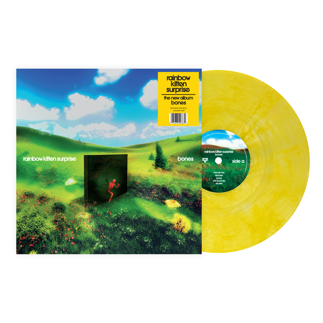 Rainbow Kitten Surprise- bones (Indie Exclusive Banana Vinyl) ( LP )
