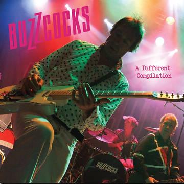 Buzzcocks- A Different Compilation (Canada - Import) ( LP )