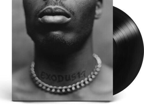 DMX- Exodus ( LP )