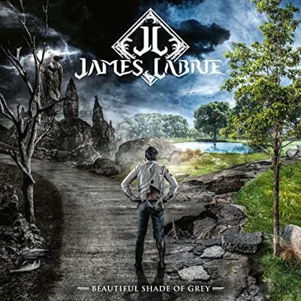 James LaBrie (Dream Theater)- Beautiful Shade Of Grey ( LP )