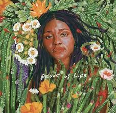 Joy Oladokun- Proof Of Life (Indie Exclusive Vinyl) (Signed Insert) ( LP )
