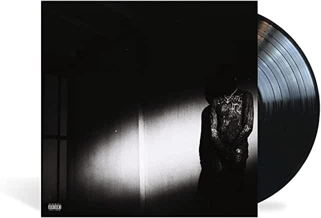 Destroy Lonely- No Stylist ( LP )
