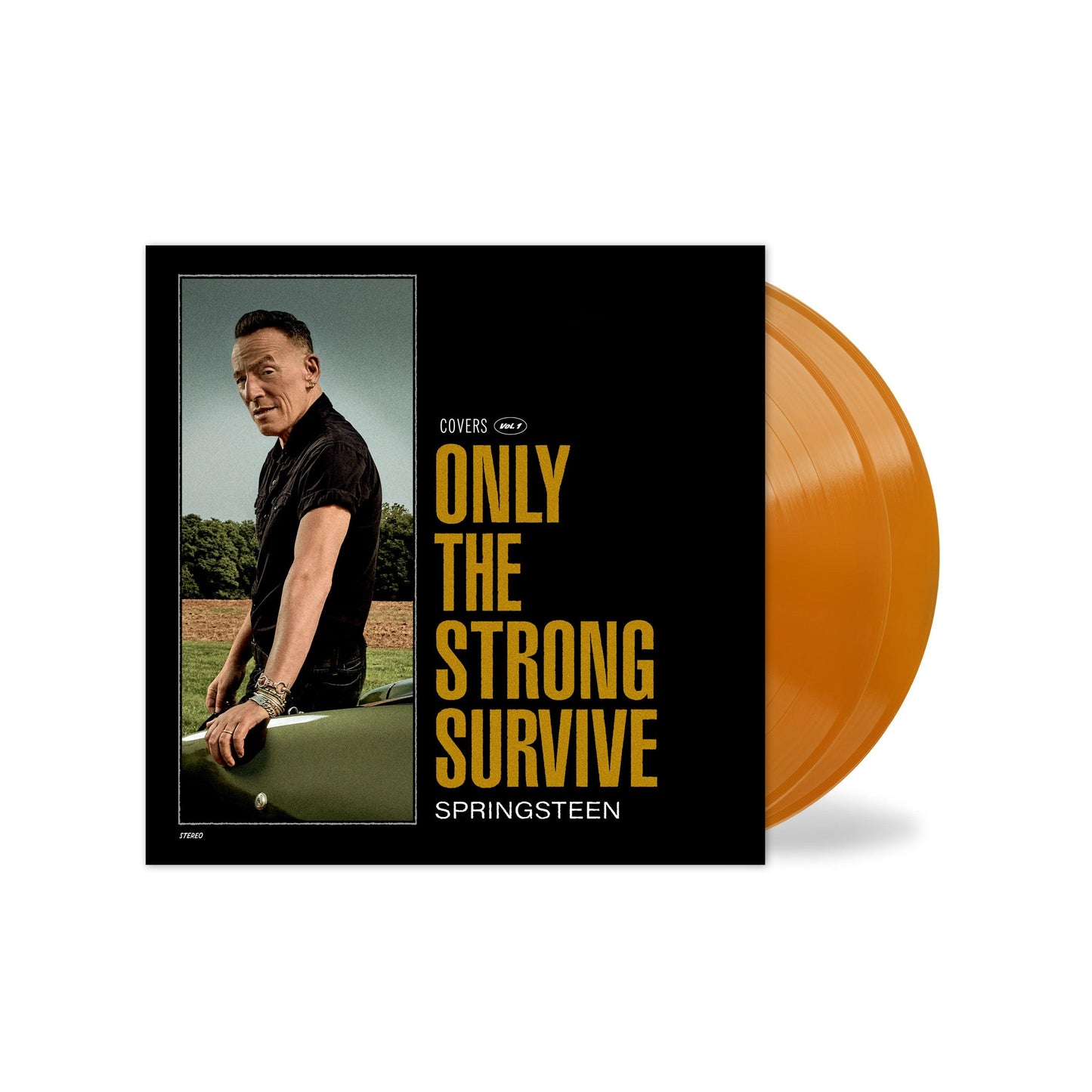 Bruce Springsteen- Only The Strong Survive (Indie Exclusive Orbit Orange Vinyl) ( LP )