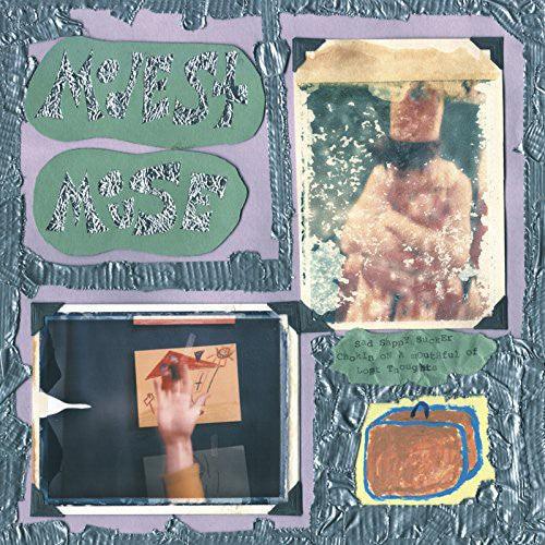 Modest Mouse- Sad Sappy Sucker ( LP )