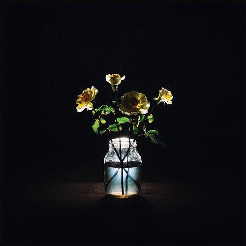 Billy Strings- Renewal ( LP )