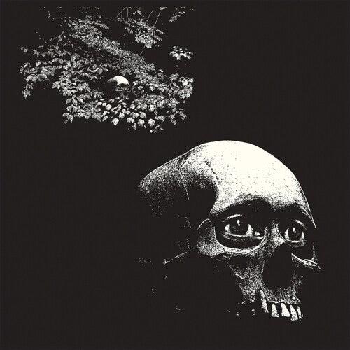 Osees- Foul Form ( LP )