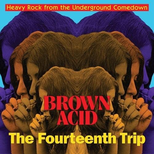 Various- Brown Acid: Fourteenth Trip ( LP )