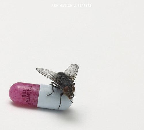 Red Hot Chili Peppers- I'm With You ( LP )