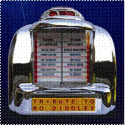 Various Artists: Tribute to Bo Diddley - COMPACT DISCS