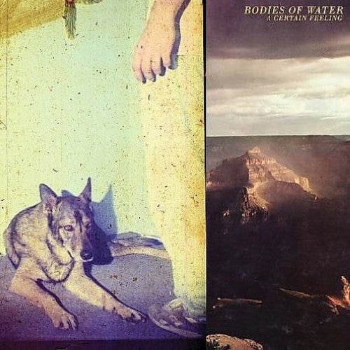 Bodies of Water: A Certain Feeling { Record }