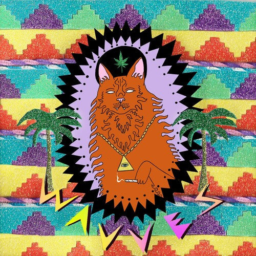 Wavves: King of the Beach { Record }