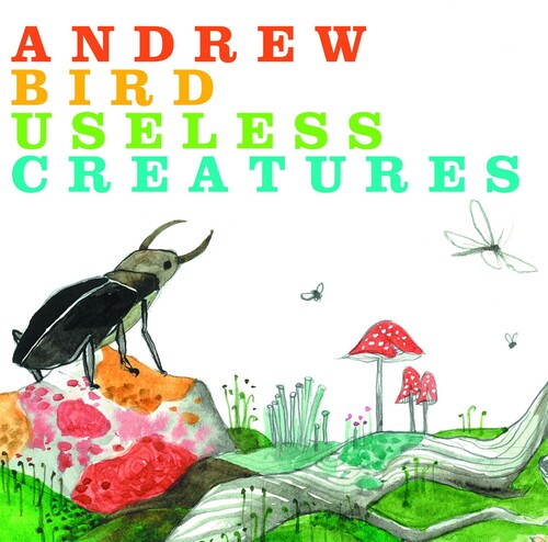 Andrew Bird: Useless - COMPACT DISCS