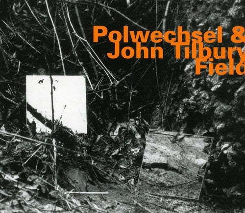 Polwechsel & John Tilbury: Field - CD