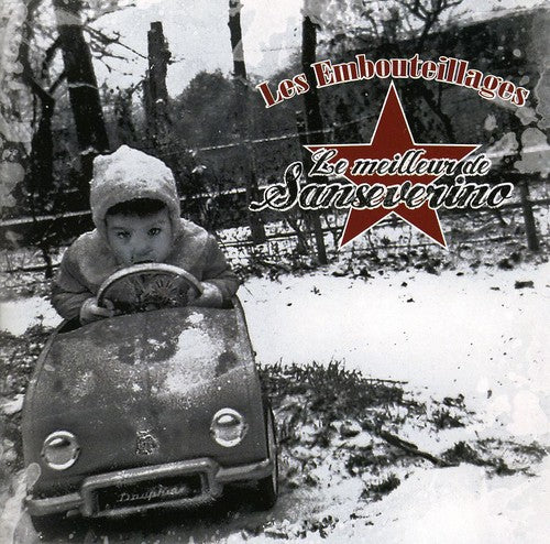 Sanseverino: Le Meilleur de Sanseverino - CD