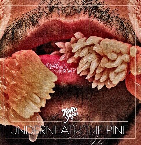 Toro y Moi- Underneath the Pine ( LP )