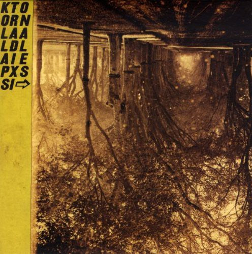 Thee Silver Mt. Zion: Kollaps Tradixionales [With CD] [With Book] [With Poster] [Deluxe Edition] { Record }